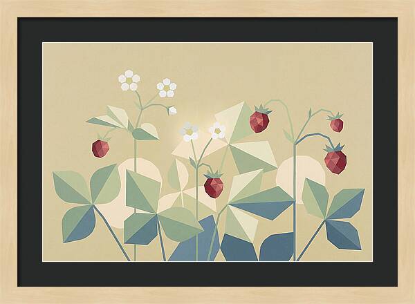 Wild Strawberry Plant Delight