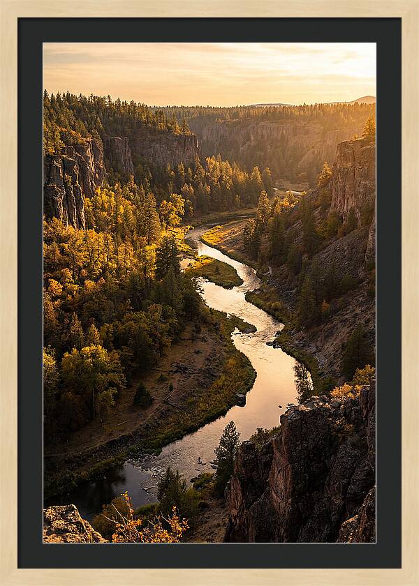 Wildcat Den Gorge Serenity