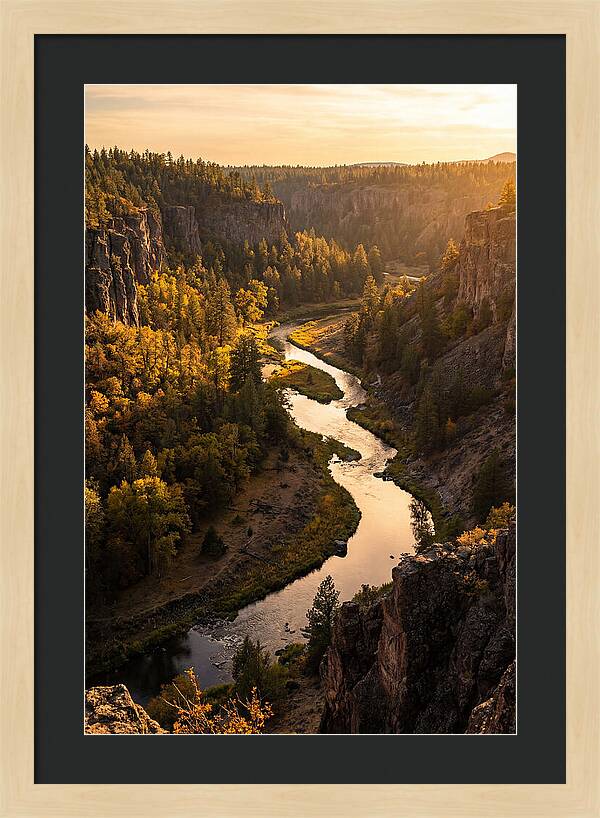 Wildcat Den Gorge Serenity