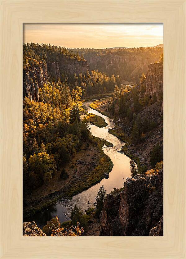 Wildcat Den Gorge Serenity