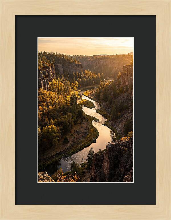 Wildcat Den Gorge Serenity