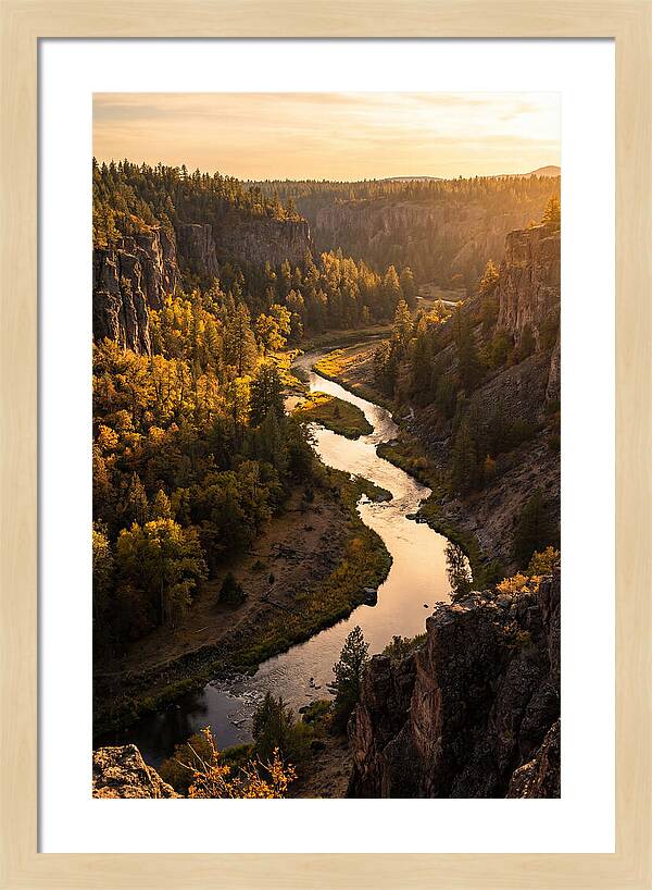 Wildcat Den Gorge Serenity