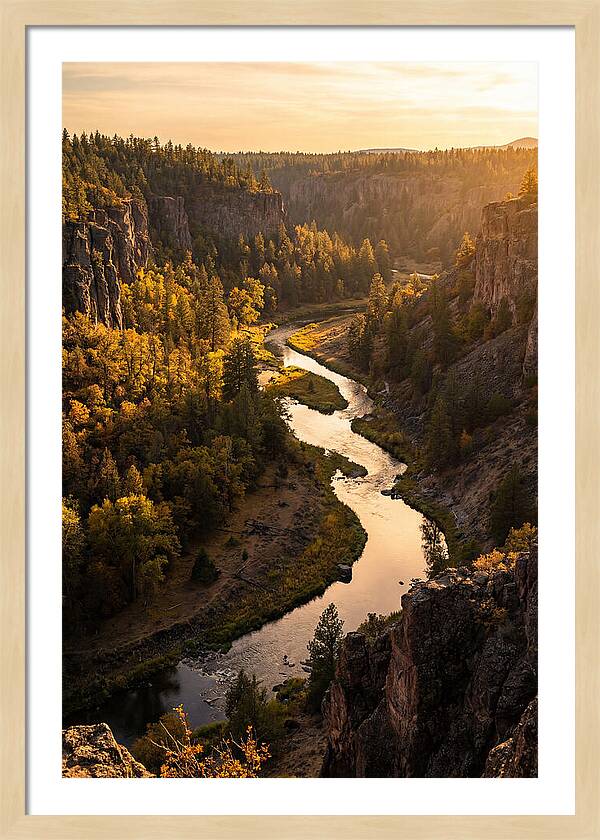 Wildcat Den Gorge Serenity
