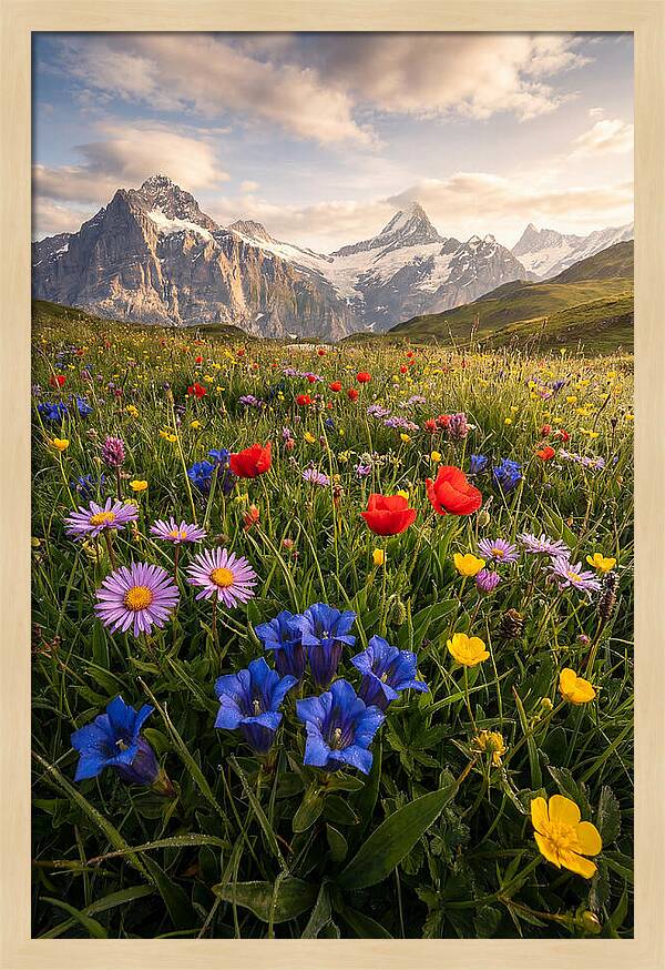 Wildflower Alpine Bliss