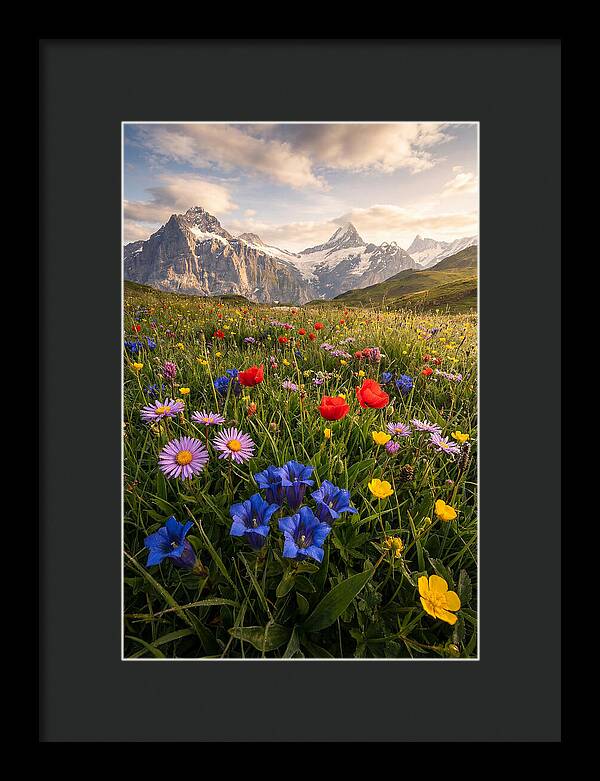 Wildflower Alpine Bliss