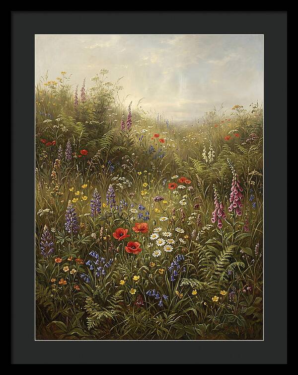 Wildflower Meadow In Spring