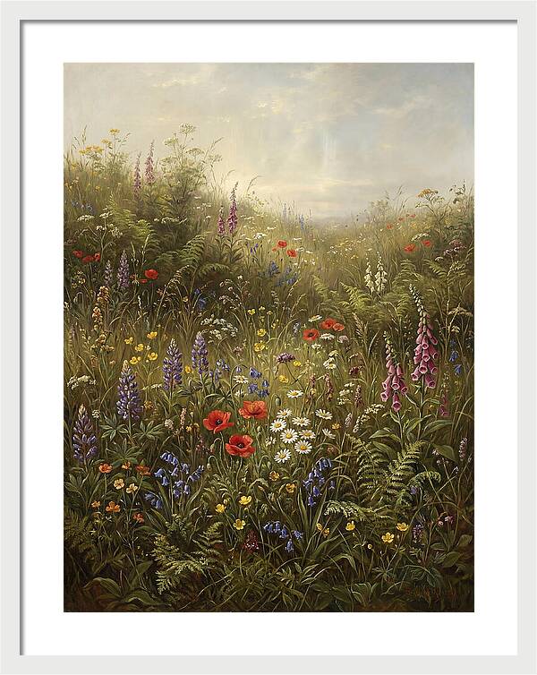 Wildflower Meadow In Spring