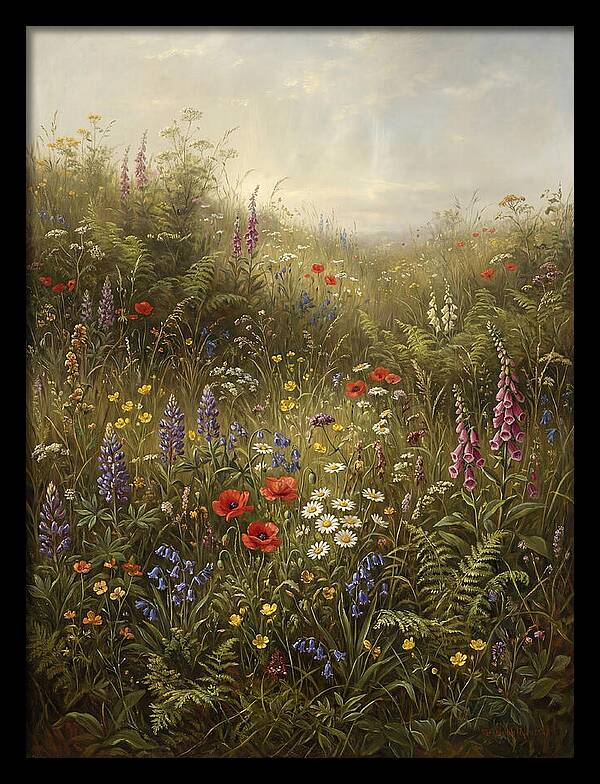 Wildflower Meadow In Spring