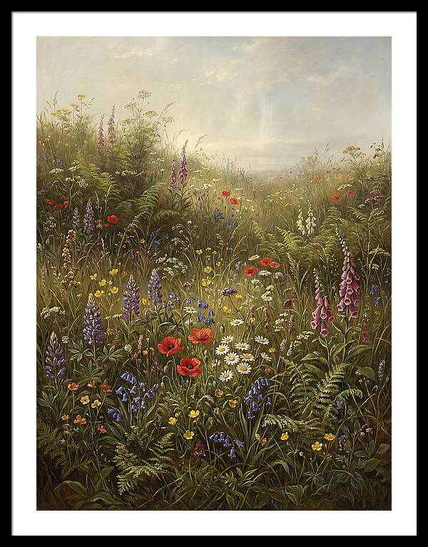 Wildflower Meadow In Spring