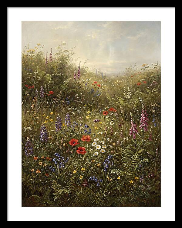 Wildflower Meadow In Spring