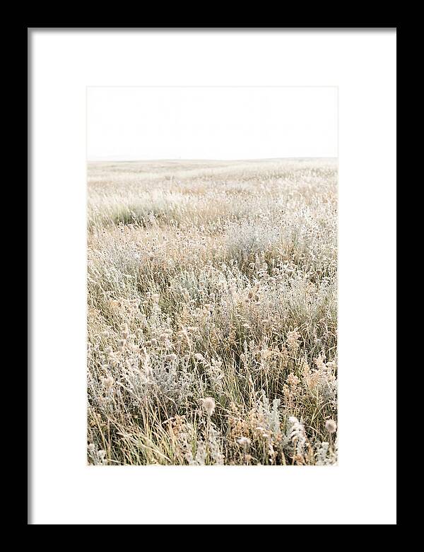 Wildflower Meadow Swaying In Breeze
