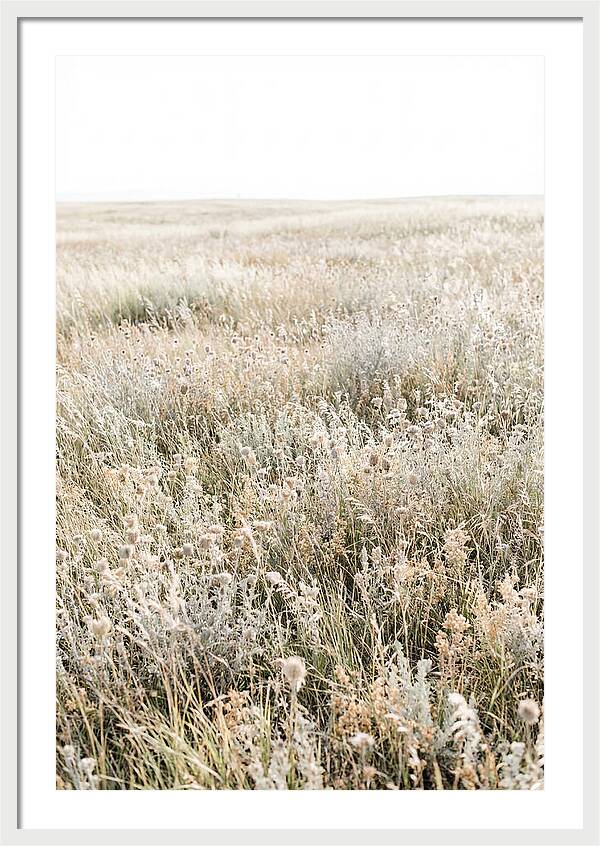 Wildflower Meadow Swaying In Breeze