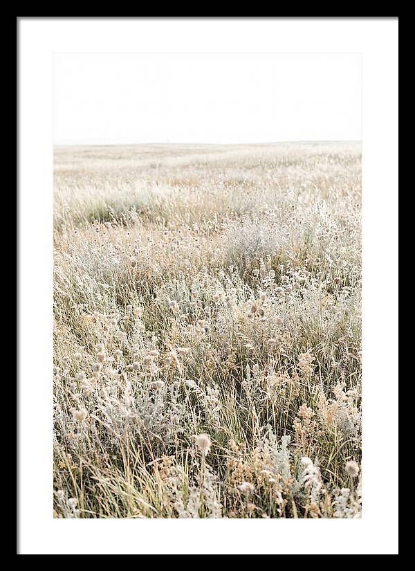 Wildflower Meadow Swaying In Breeze