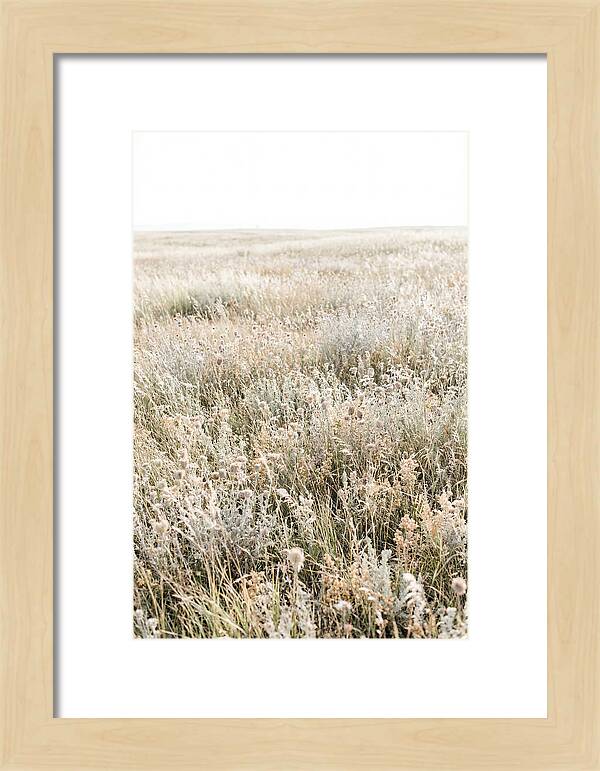 Wildflower Meadow Swaying In Breeze