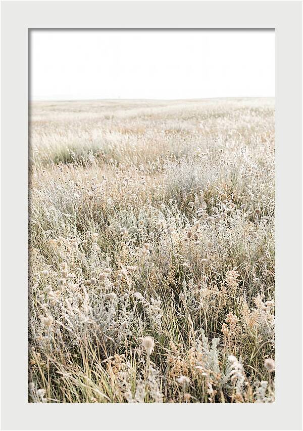 Wildflower Meadow Swaying In Breeze