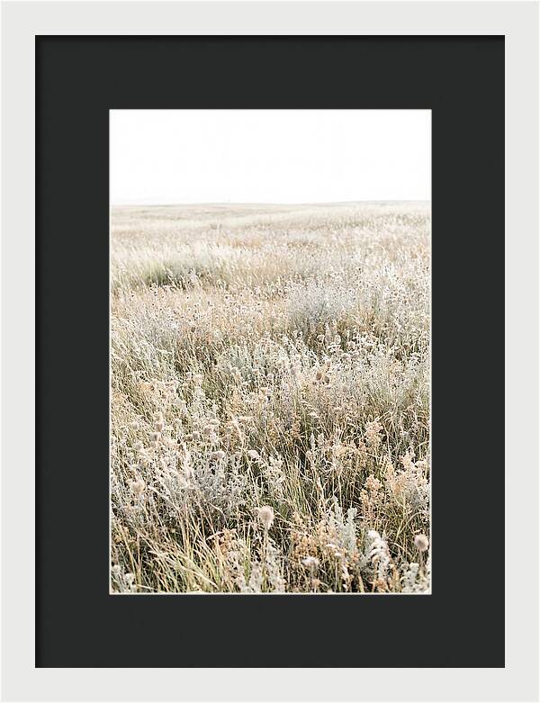 Wildflower Meadow Swaying In Breeze