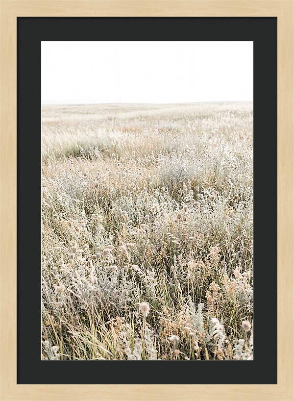 Wildflower Meadow Swaying In Breeze