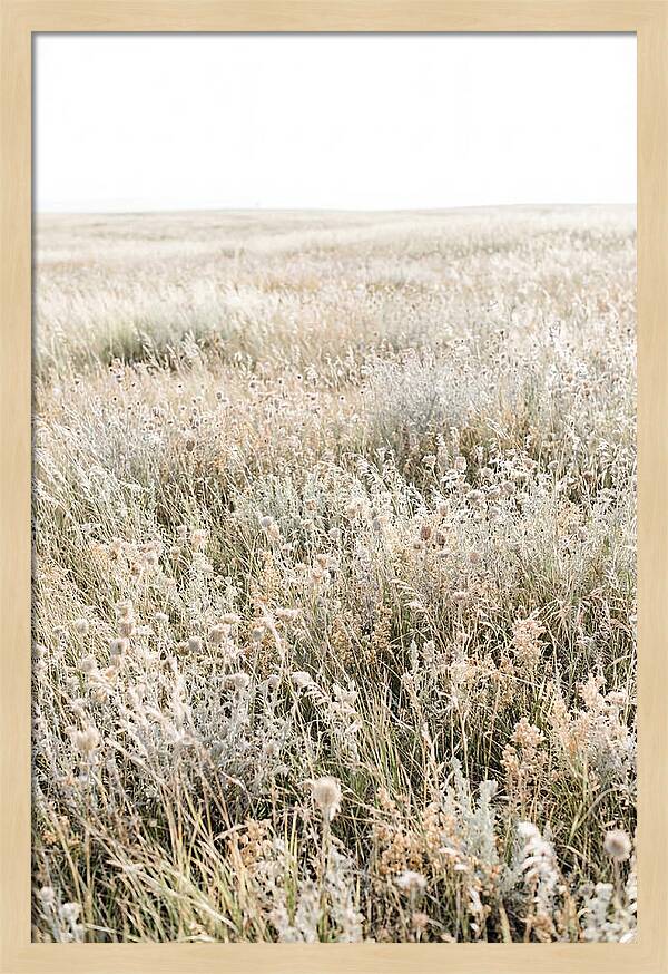 Wildflower Meadow Swaying In Breeze