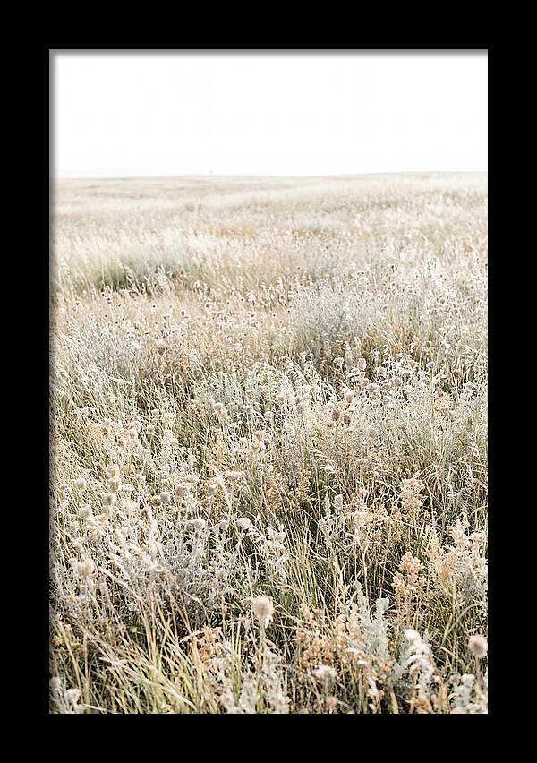 Wildflower Meadow Swaying In Breeze