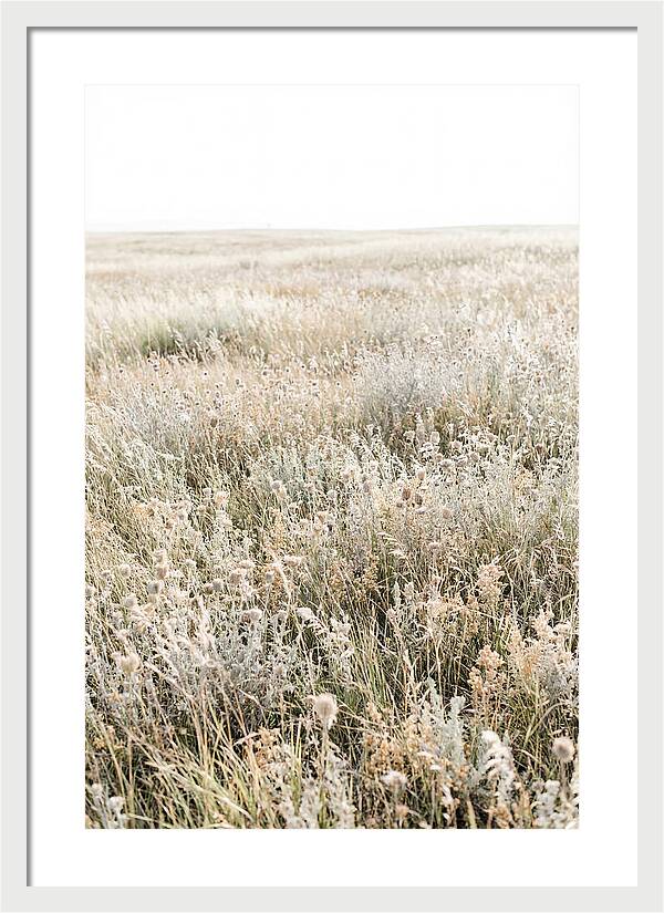 Wildflower Meadow Swaying In Breeze