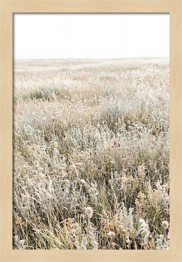 Wildflower Meadow Swaying In Breeze