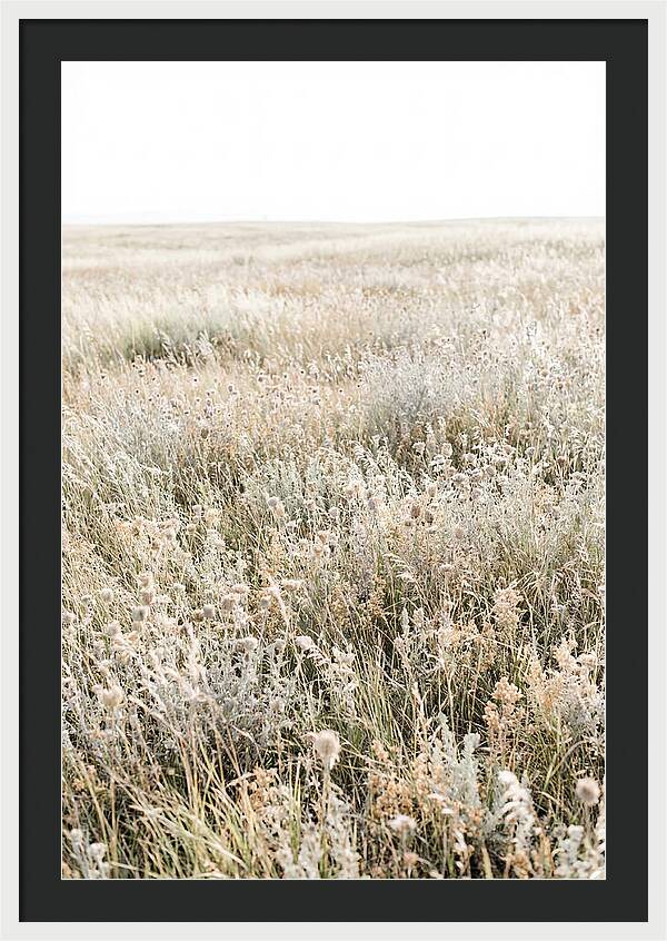 Wildflower Meadow Swaying In Breeze