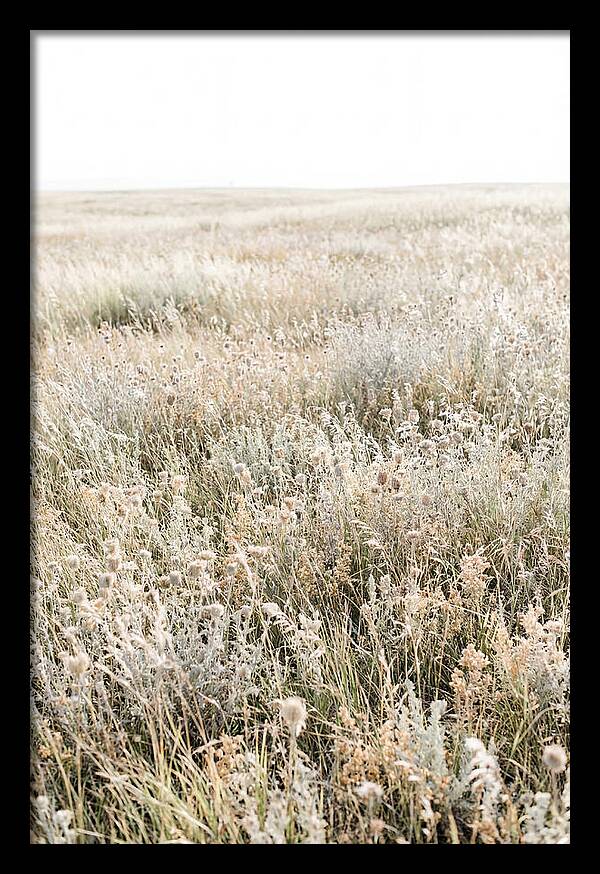 Wildflower Meadow Swaying In Breeze