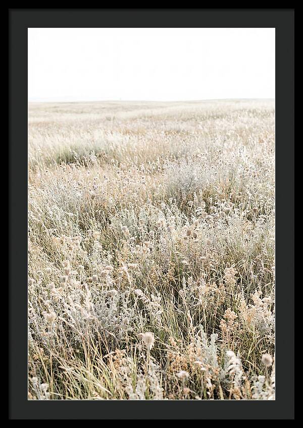 Wildflower Meadow Swaying In Breeze