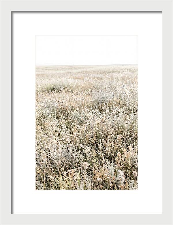 Wildflower Meadow Swaying In Breeze