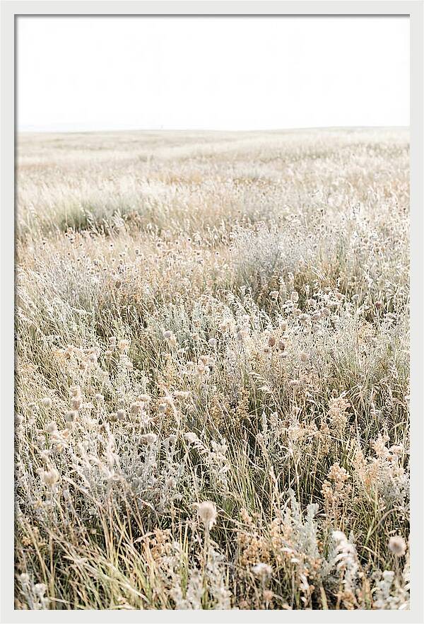 Wildflower Meadow Swaying In Breeze