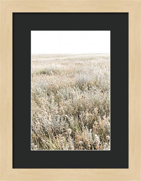 Wildflower Meadow Swaying In Breeze
