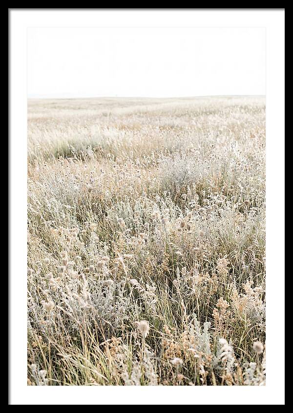 Wildflower Meadow Swaying In Breeze