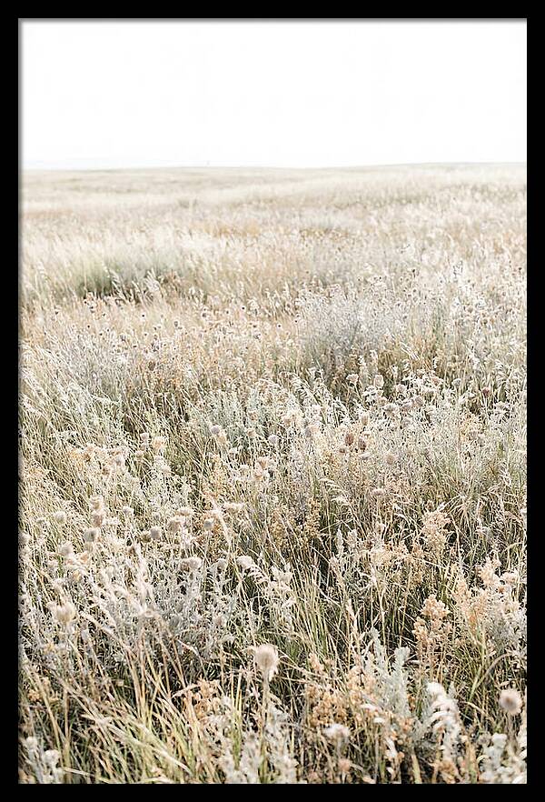 Wildflower Meadow Swaying In Breeze