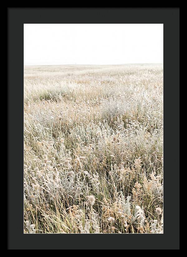 Wildflower Meadow Swaying In Breeze
