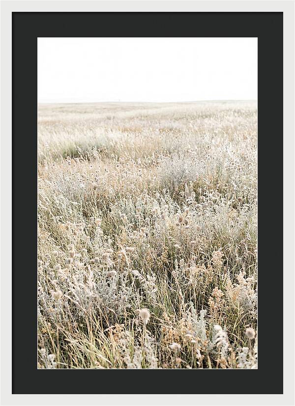 Wildflower Meadow Swaying In Breeze