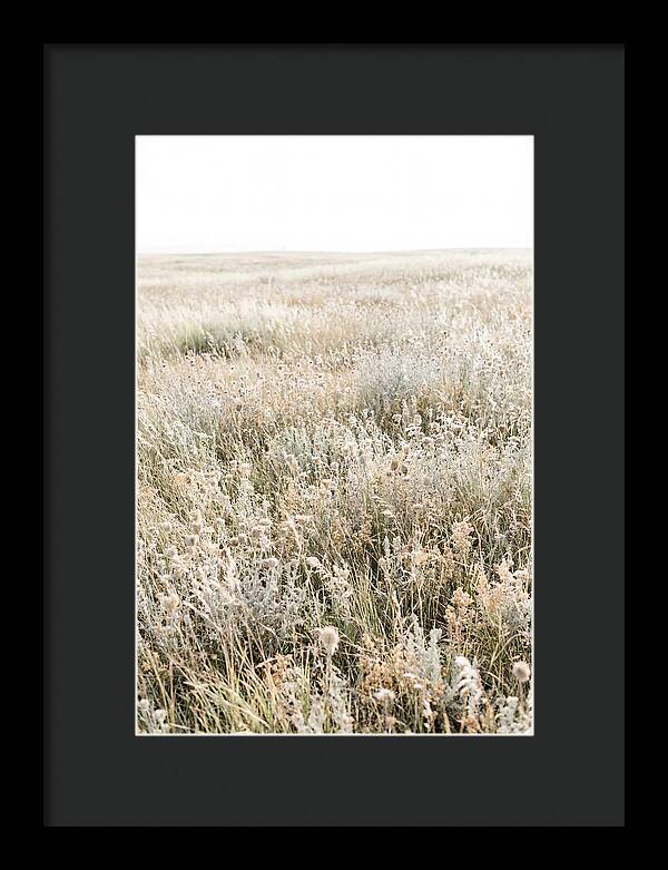 Wildflower Meadow Swaying In Breeze