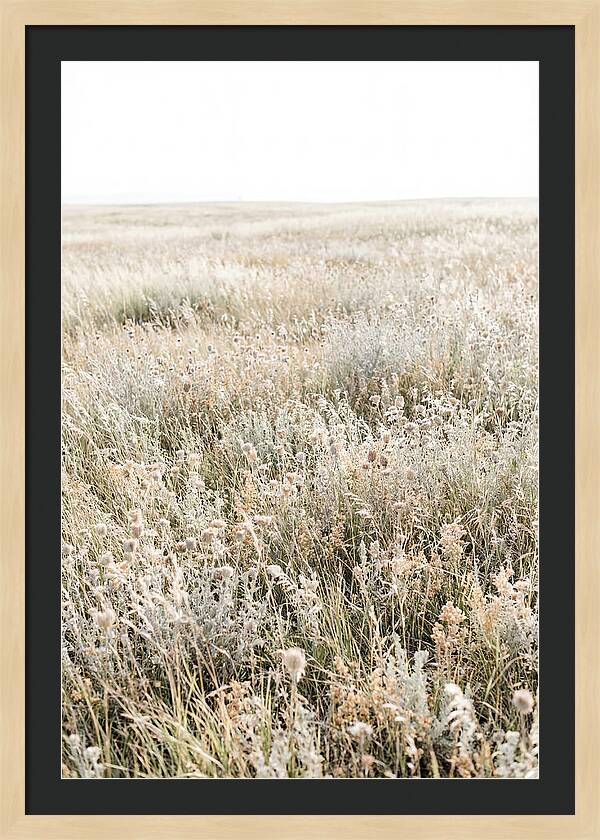 Wildflower Meadow Swaying In Breeze