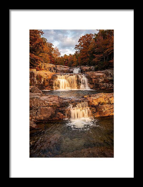 Willow Falls Serenity