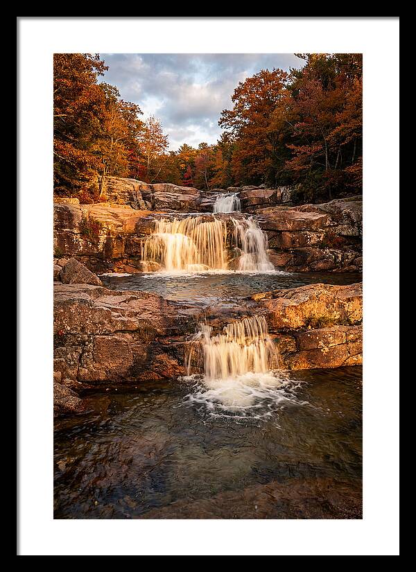 Willow Falls Serenity