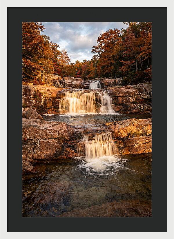 Willow Falls Serenity