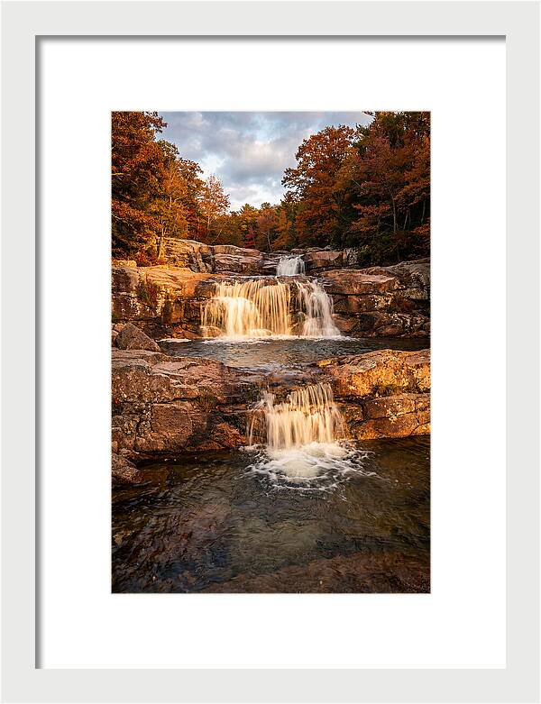 Willow Falls Serenity