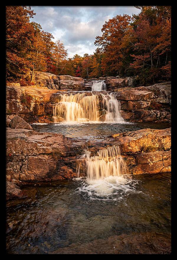 Willow Falls Serenity