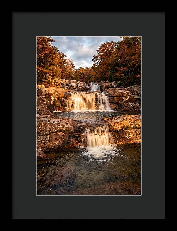 Willow Falls Serenity