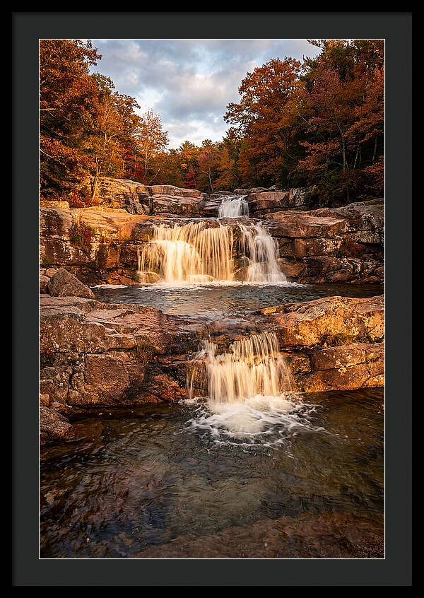 Willow Falls Serenity