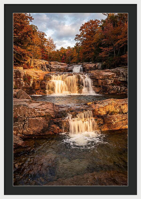 Willow Falls Serenity