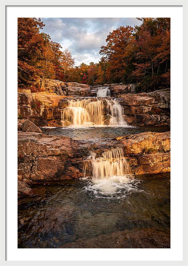 Willow Falls Serenity