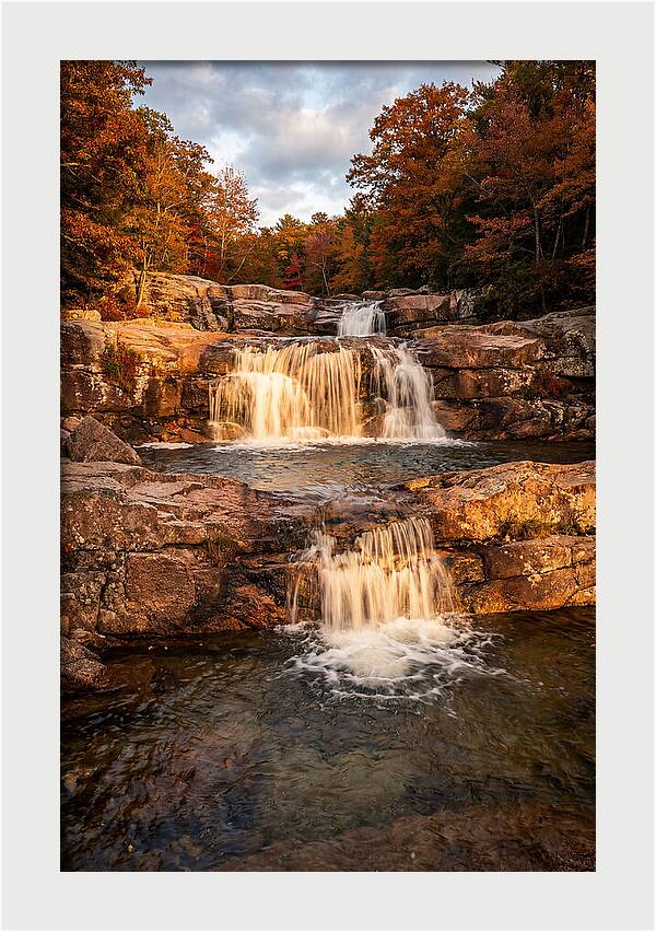 Willow Falls Serenity