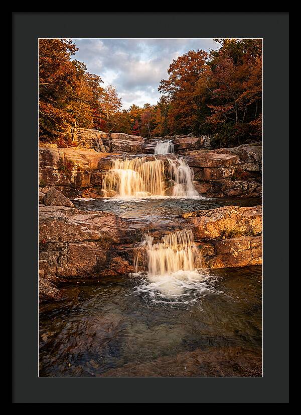 Willow Falls Serenity