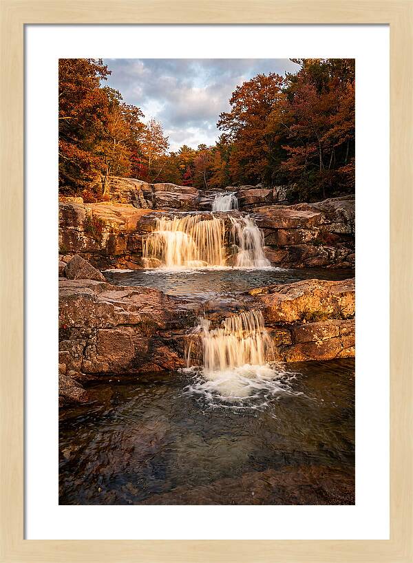 Willow Falls Serenity