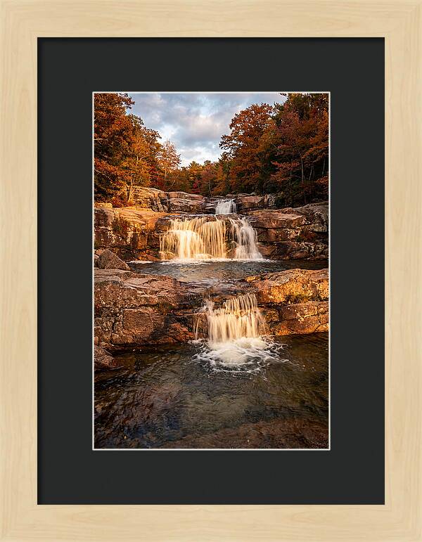 Willow Falls Serenity